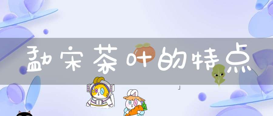 勐宋茶叶的特点