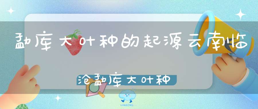 勐库大叶种的起源云南临沧勐库大叶种