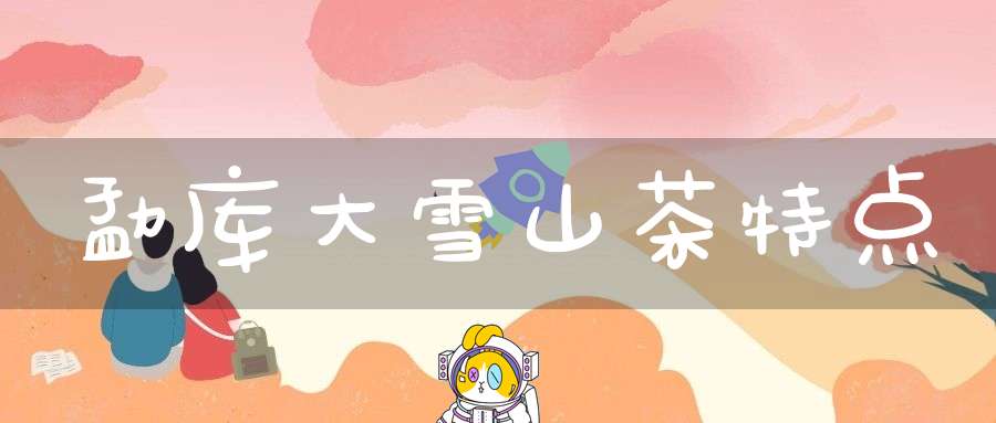 勐库大雪山茶特点
