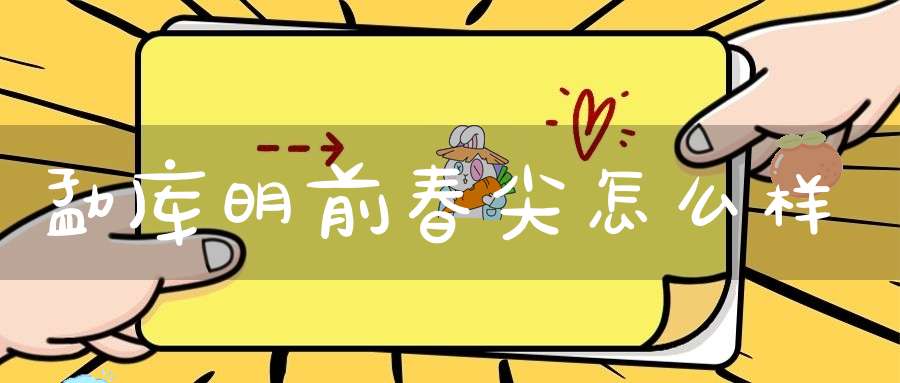 勐库明前春尖怎么样