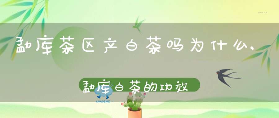 勐库茶区产白茶吗为什么,勐库白茶的功效与作用