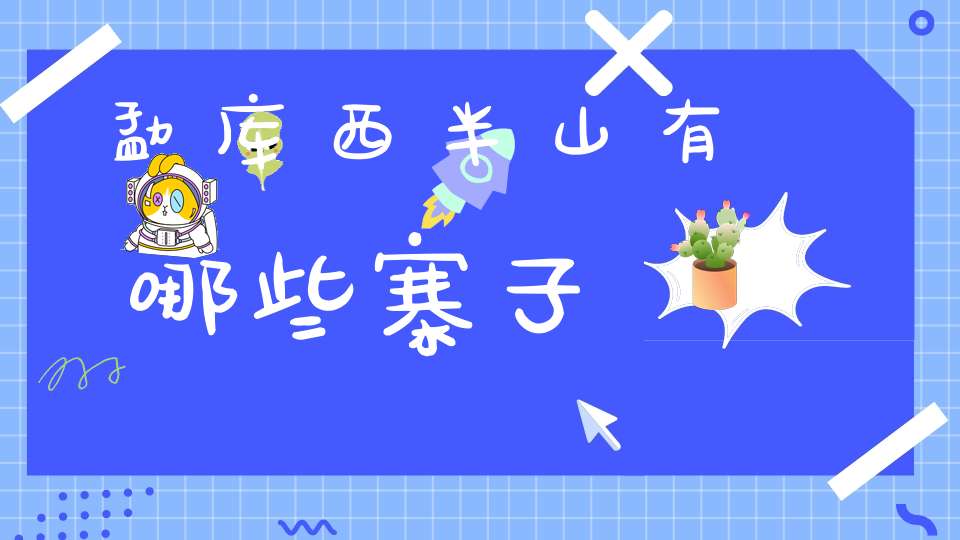 勐库西半山有哪些寨子
