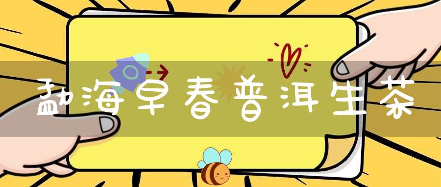 勐海早春普洱生茶