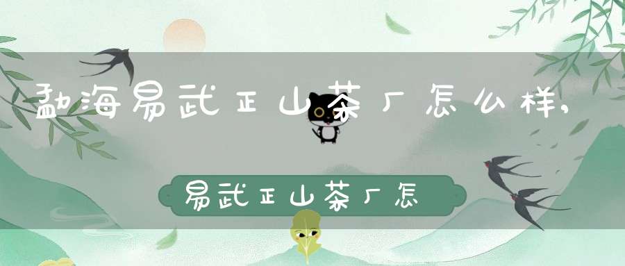 勐海易武正山茶厂怎么样,易武正山茶厂怎么样呀