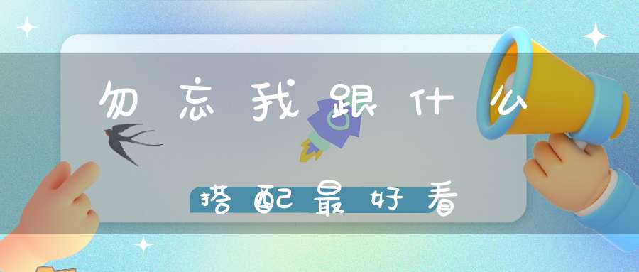 勿忘我跟什么搭配最好看