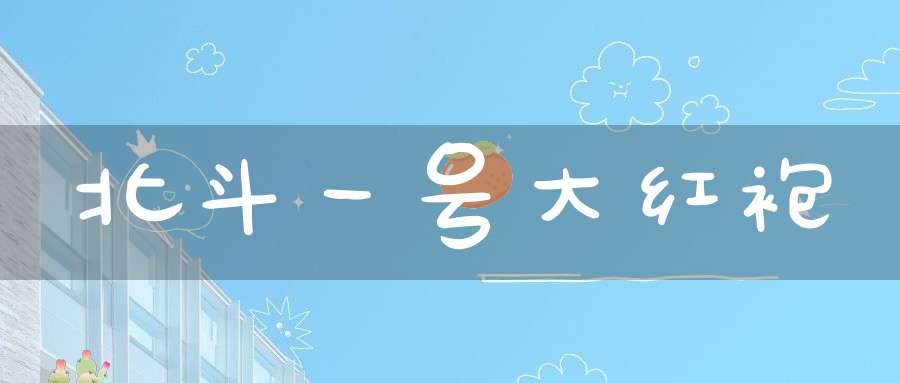 北斗一号大红袍