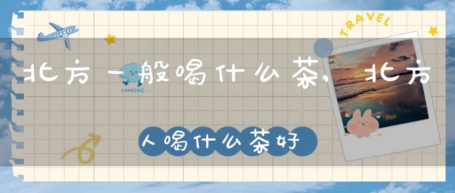北方一般喝什么茶,北方人喝什么茶好