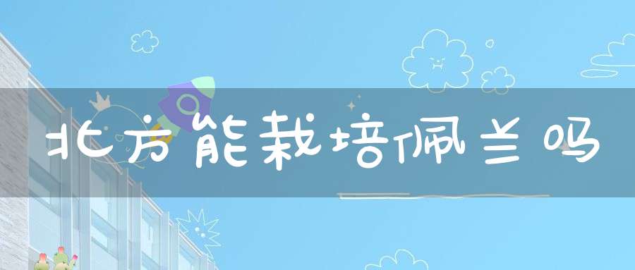 北方能栽培佩兰吗？