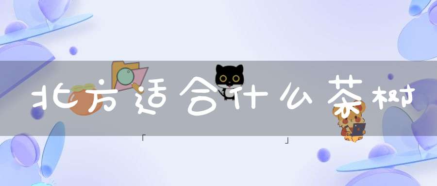 北方适合什么茶树