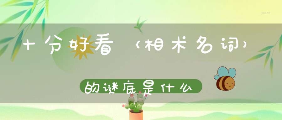 十分好看 （相术名词）的谜底是什么?