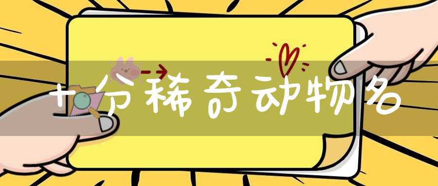 十分稀奇  动物名