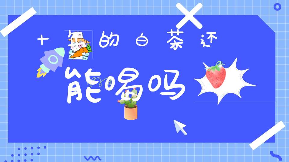 十年的白茶还能喝吗