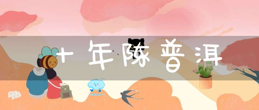 十年陈普洱