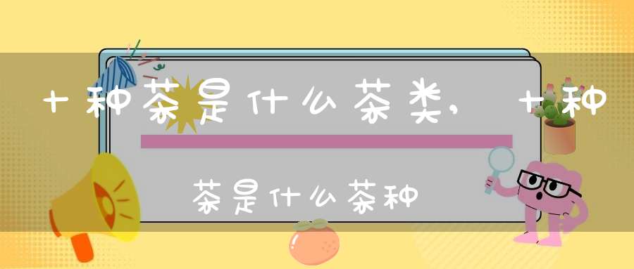 十种茶是什么茶类,十种茶是什么茶种