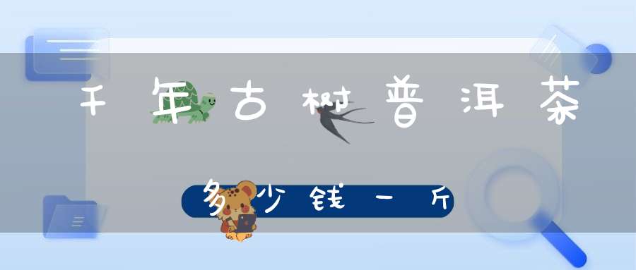 千年古树普洱茶多少钱一斤