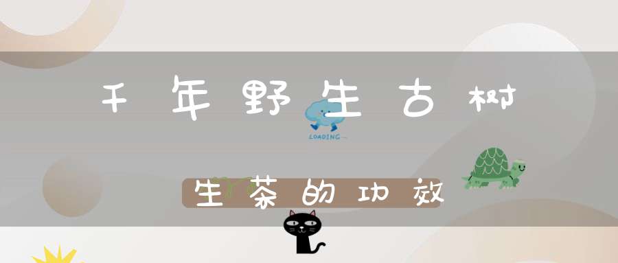 千年野生古树生茶的功效