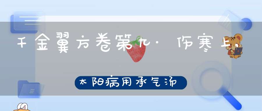 千金翼方卷第九·伤寒上,太阳病用承气汤法第五