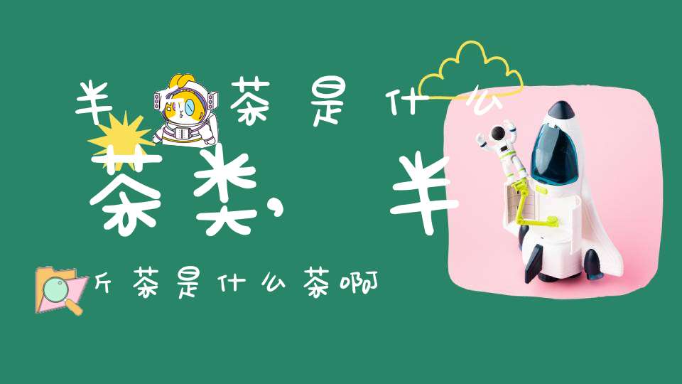 半斤茶是什么茶类,半斤茶是什么茶啊