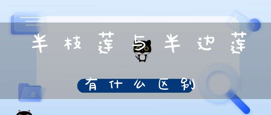 半枝莲与半边莲有什么区别？