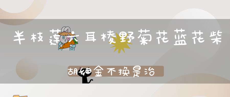 半枝莲六耳棱野菊花蓝花柴胡细金不换是治什么？