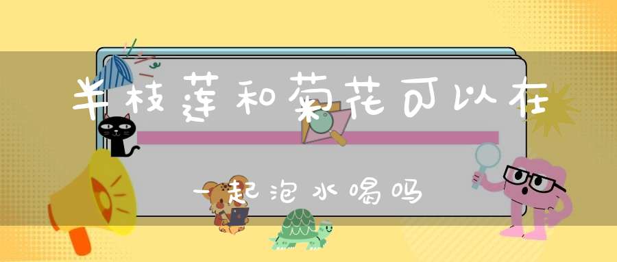 半枝莲和菊花可以在一起泡水喝吗？