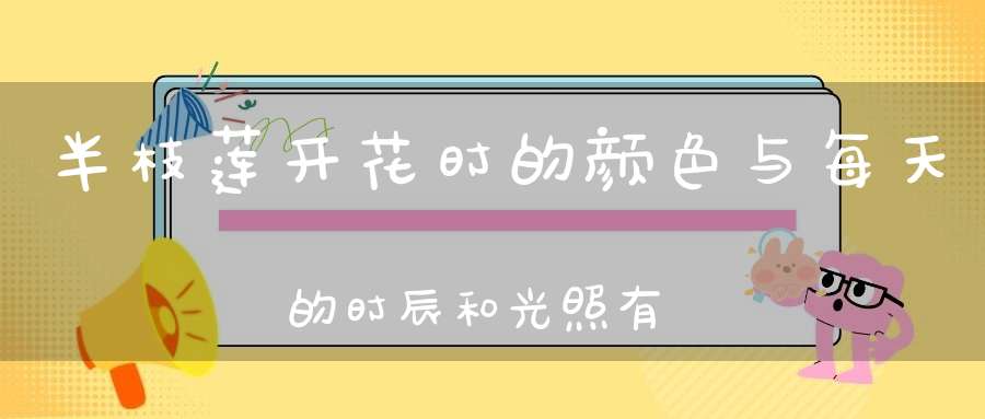 半枝莲开花时的颜色与每天的时辰和光照有什么关系？