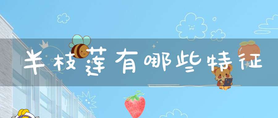 半枝莲有哪些特征？