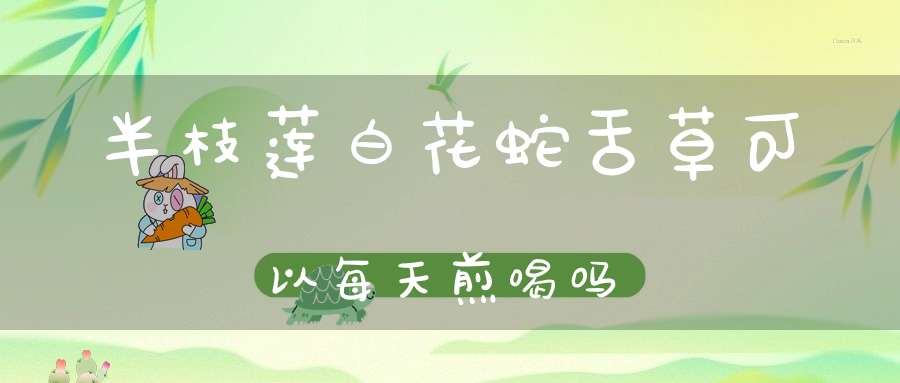 半枝莲白花蛇舌草可以每天煎喝吗？