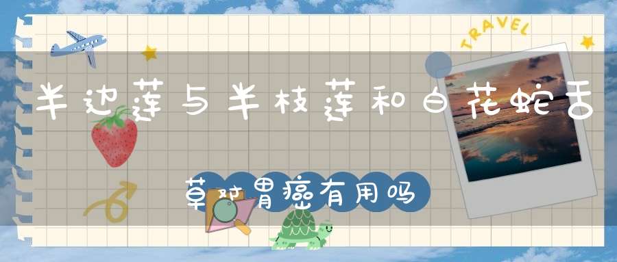半边莲与半枝莲和白花蛇舌草对胃癌有用吗？