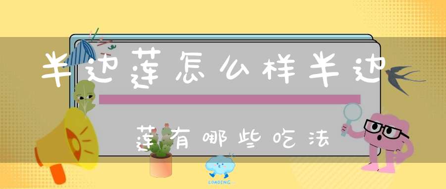 半边莲怎么样半边莲有哪些吃法？