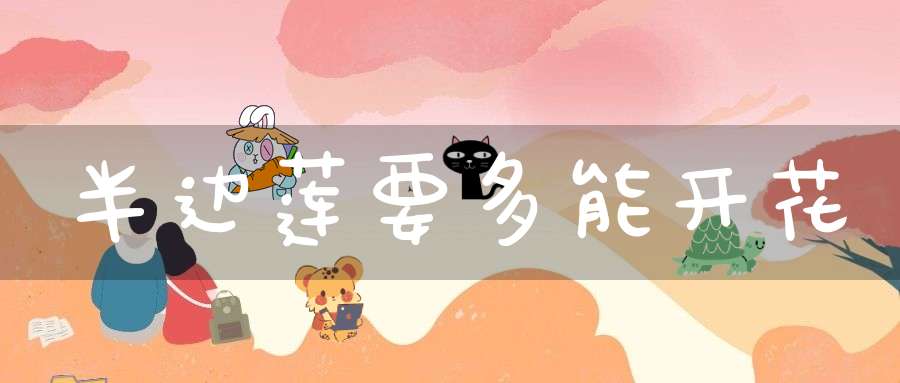 半边莲要多能开花？