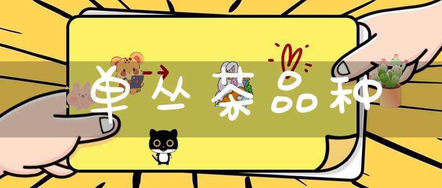 单丛茶品种
