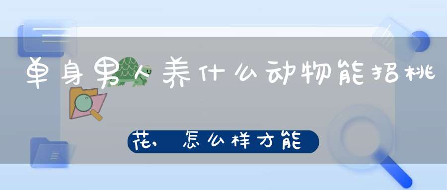 单身男人养什么动物能招桃花,怎么样才能增加桃花运呀 都单身三年了,养金鱼,摆桃花也都没有用