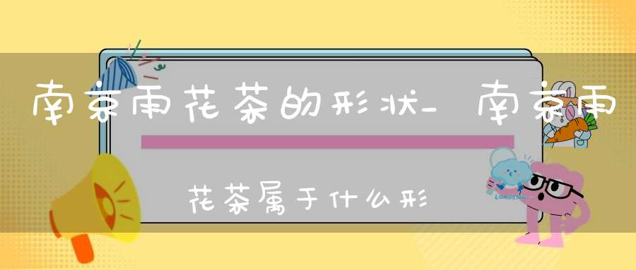 南京雨花茶的形状_南京雨花茶属于什么形外形名茶