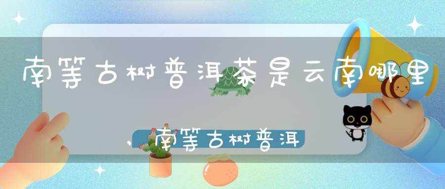 南等古树普洱茶是云南哪里,南等古树普洱熟茶