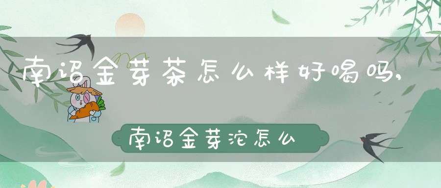 南诏金芽茶怎么样好喝吗,南诏金芽沱怎么样