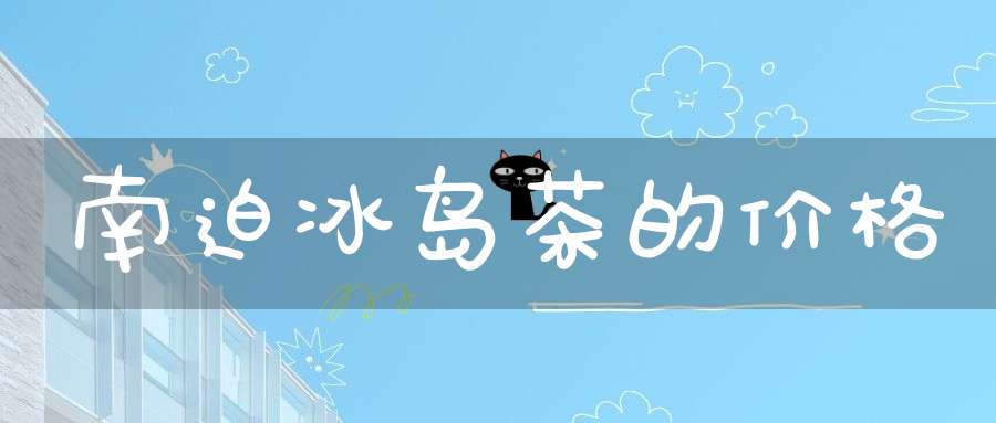 南迫冰岛茶的价格