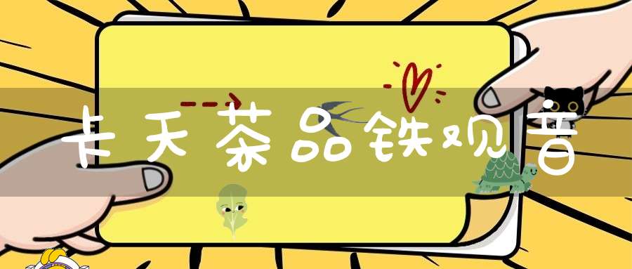 卡天茶品铁观音
