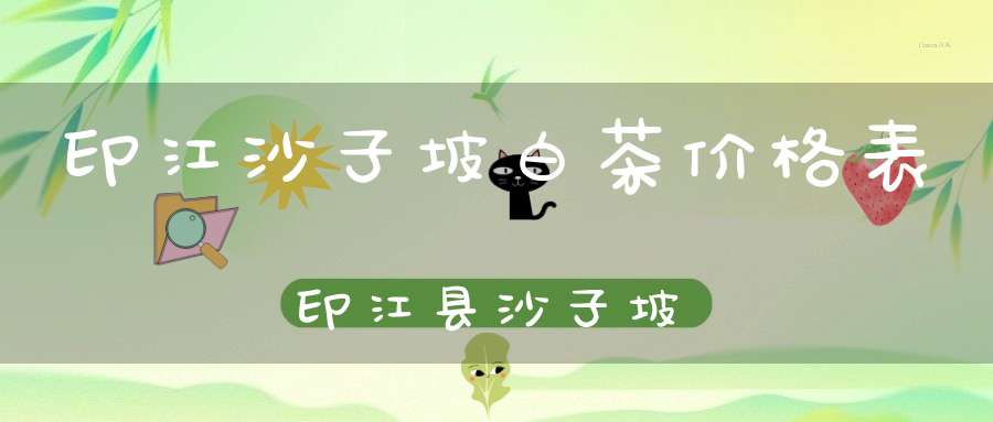 印江沙子坡白茶价格表印江县沙子坡