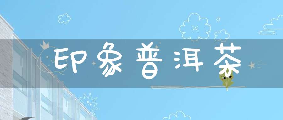 印象普洱茶