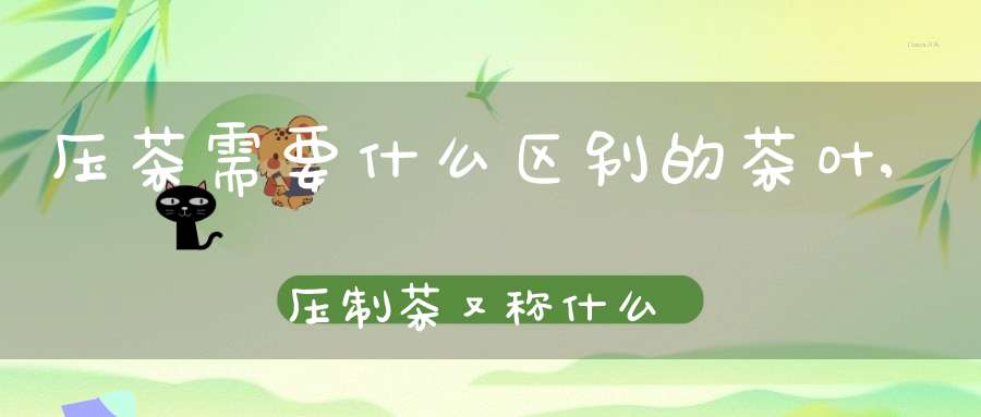 压茶需要什么区别的茶叶,压制茶又称什么茶