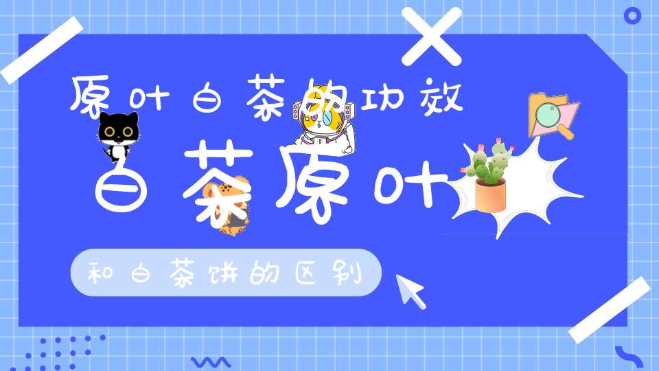 原叶白茶的功效白茶原叶和白茶饼的区别