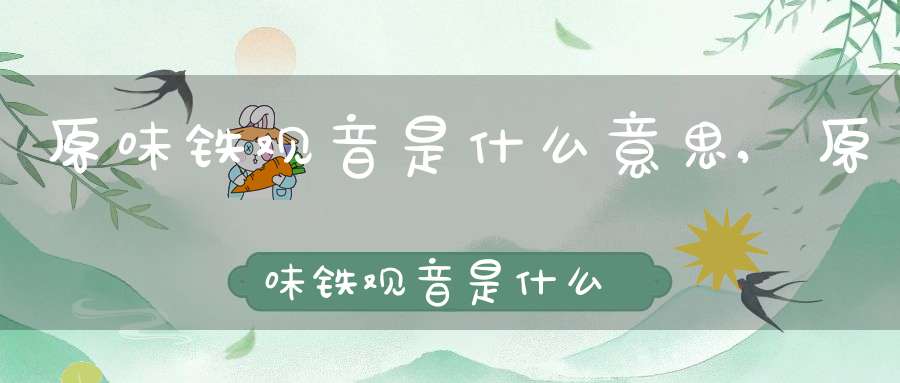 原味铁观音是什么意思,原味铁观音是什么茶