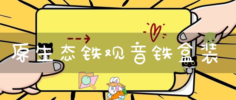 原生态铁观音铁盒装