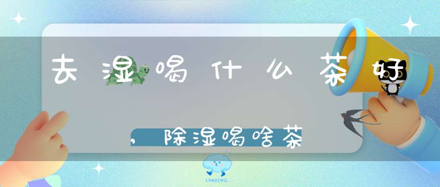 去湿喝什么茶好?,除湿喝啥茶