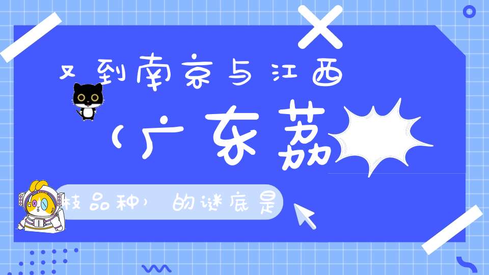 又到南京与江西 （广东荔枝品种）的谜底是什么?