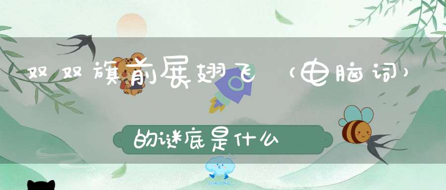 双双旗前展翅飞 （电脑词）的谜底是什么?