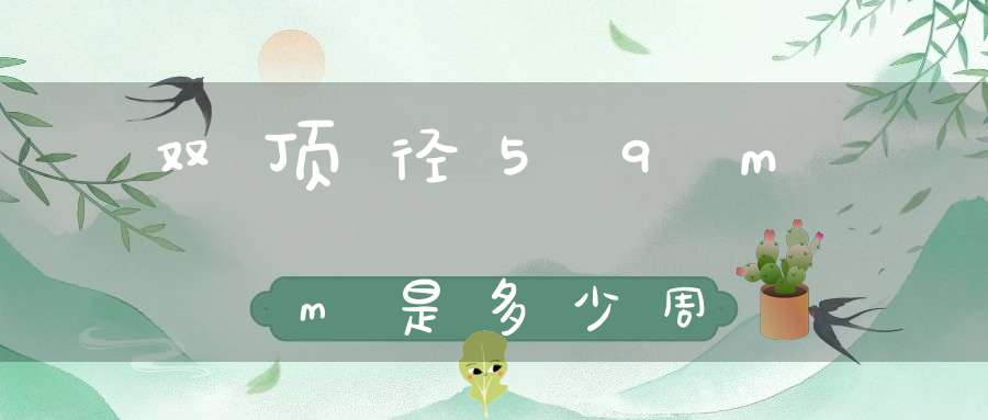 双顶径59mm是多少周