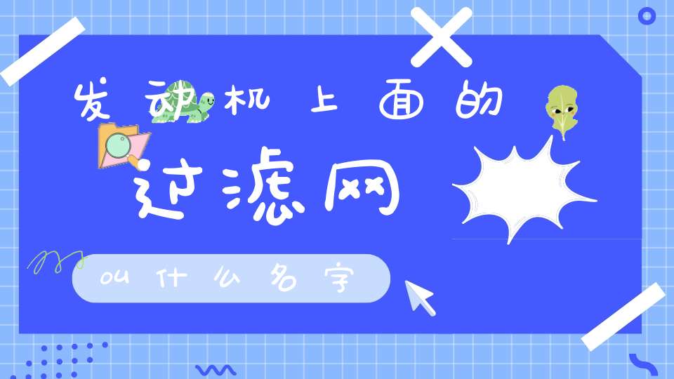 发动机上面的过滤网叫什么名字