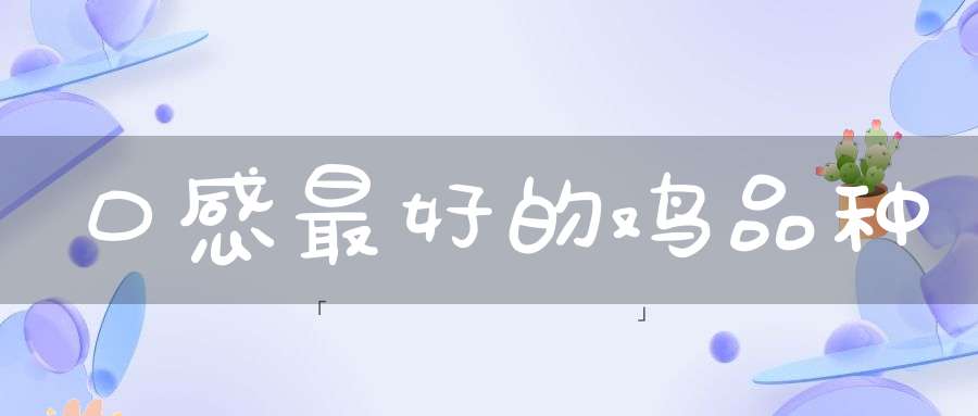 口感最好的鸡品种